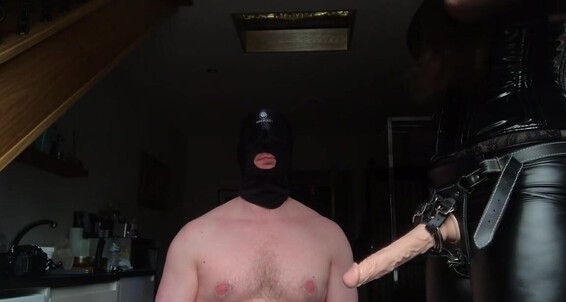 Goddess Gynarchy De To Wear Panties Suck Goddess Cock
