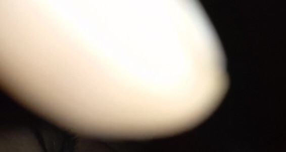 "TexasSunshyne" Texassunshyne, Pawg, Swinger, Bwc, Voyeur, Facial, Bj, Tattooed, Hotwife, Slut, Stag, Suggest TexasSunshyne Wake up Hotwife Sunshyne sucking Texas off Pornhub