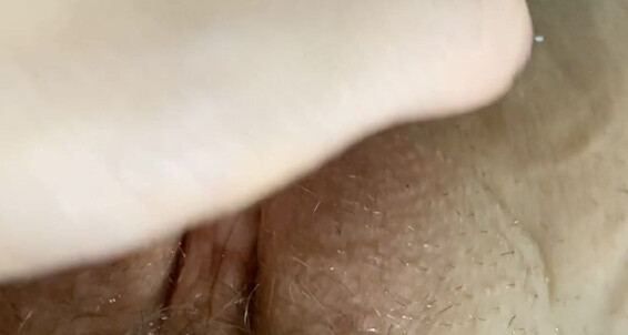 SexxyLorry