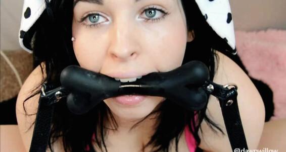 Squirt, Dog Training, Pet Play, Puppy Play, Squirting dawn willow puppy squirt ManyVids